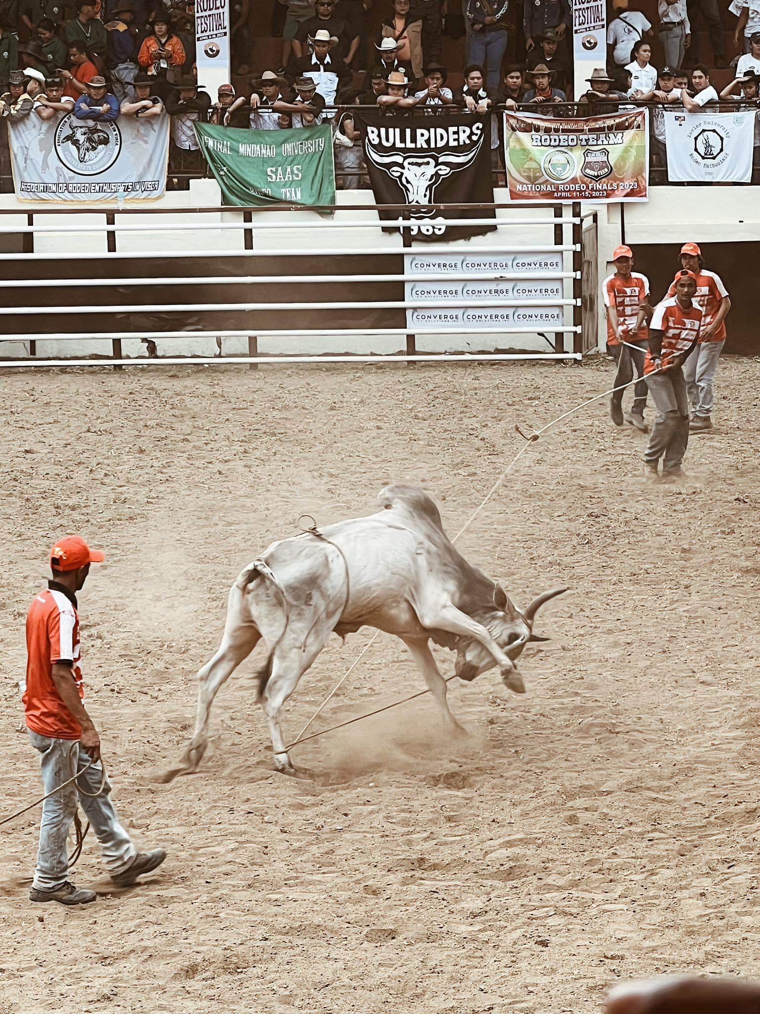 Rodeo Masbateño Festival,Travelista PH