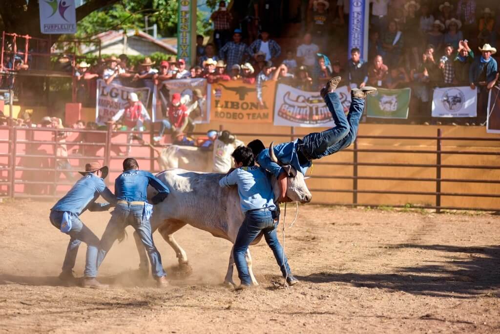 Rodeo Masbateño Festival,Travelista PH