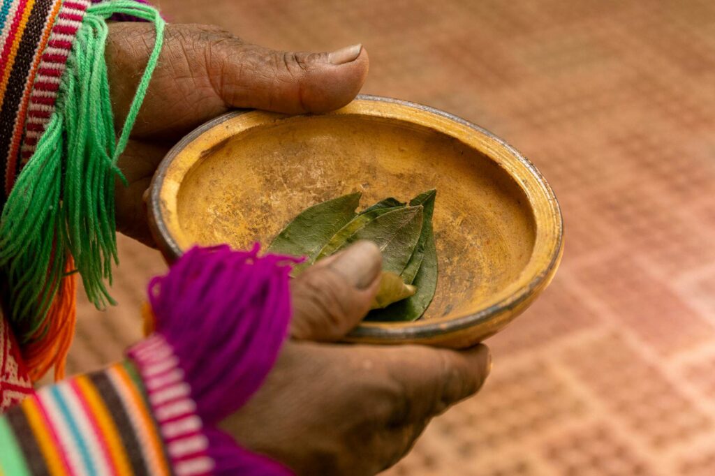 Indigenous Filipino Ingredients